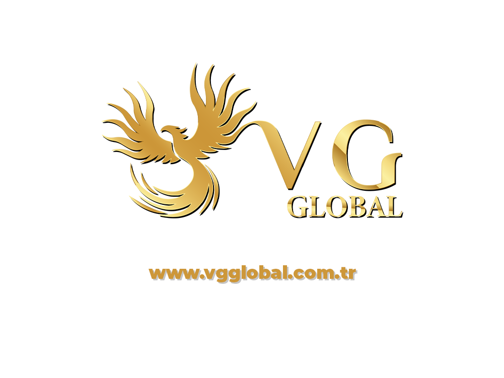 VG Global Lojistik ile Dijital Dönüşüm: Pirus Yazılım İmzasıyla